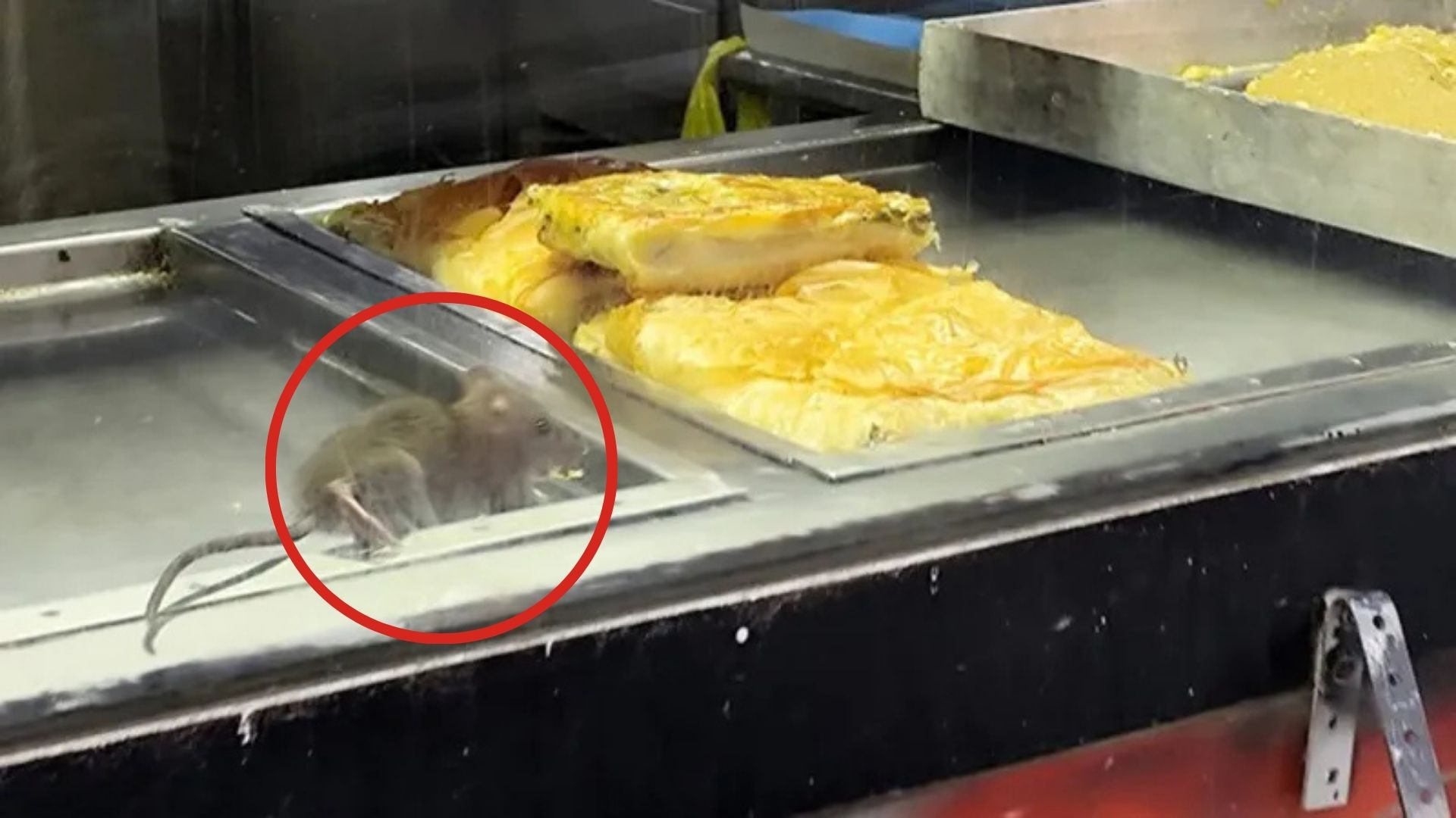 Bir börekçide kaydedilen görüntüler mideleri ağza getirdi. Tezgahta satılan böreklerin