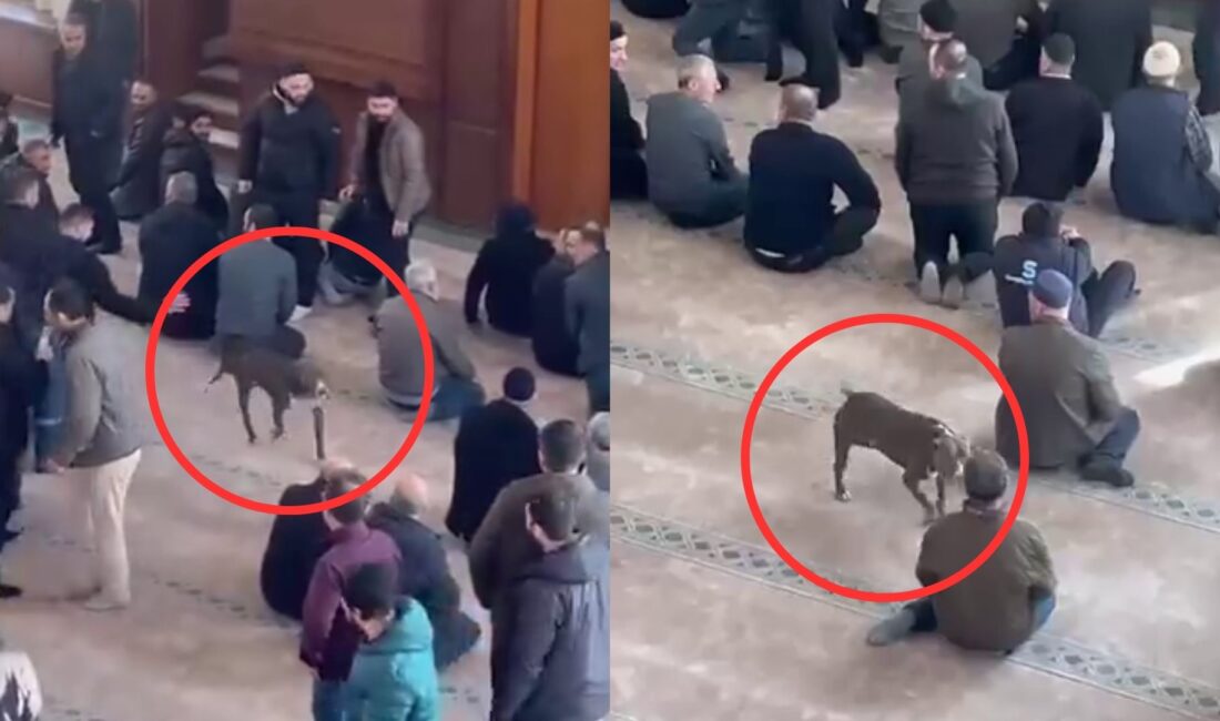Cuma namazı öncesi yaşanan sıra dışı olay, cami cemaatine korku