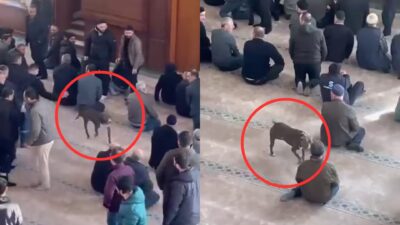 Cuma namazı öncesi yaşanan sıra dışı olay, cami cemaatine korku