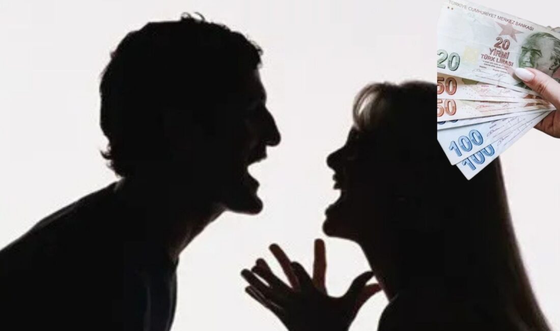 Nafakayı sadece kadın alır algısı bozuldu. Mahkemeden ezber bozan karar