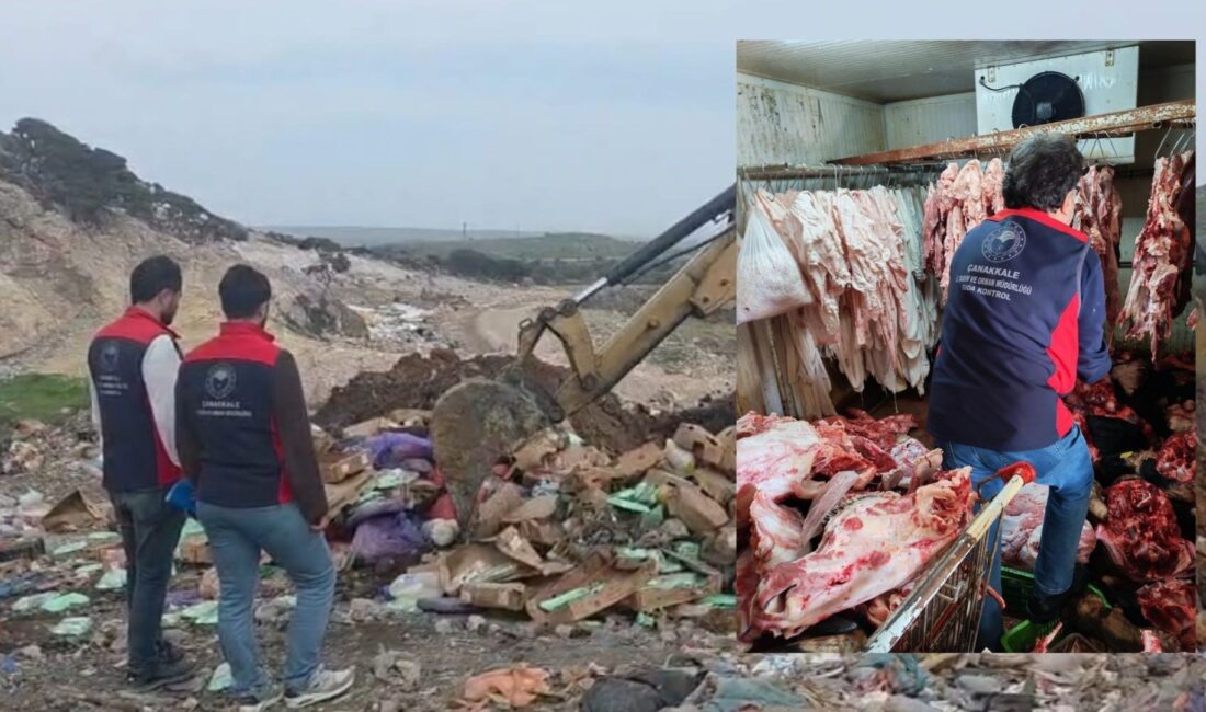 Çanakkale'de Tarım ve Orman Müdürlüğü ekiplerinin son bir ayda gerçekleştirdiği