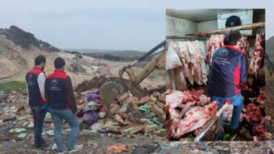 Çanakkale'de Tarım ve Orman Müdürlüğü ekiplerinin son bir ayda gerçekleştirdiği