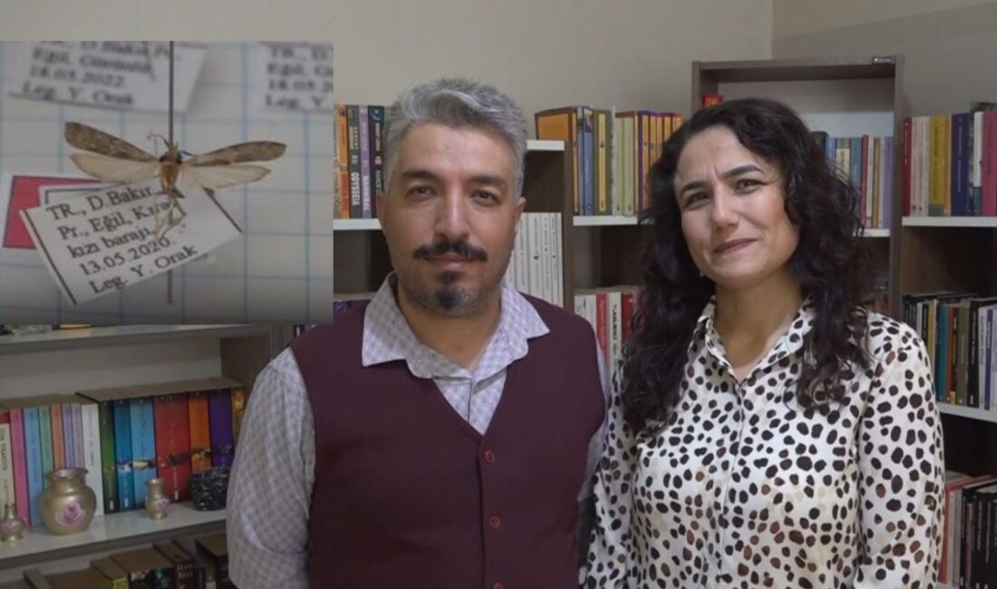 Bitlis Eren Üniversitesinde yüksek lisans eğitimini tamamlayan laboratuvar teknikeri Yılmaz