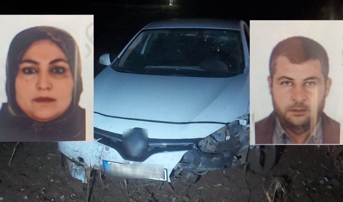 Şanlıurfa'nın Akçakale ilçesinde Mehmet Bertan (47), çıkan tartışmada tekme, tokat