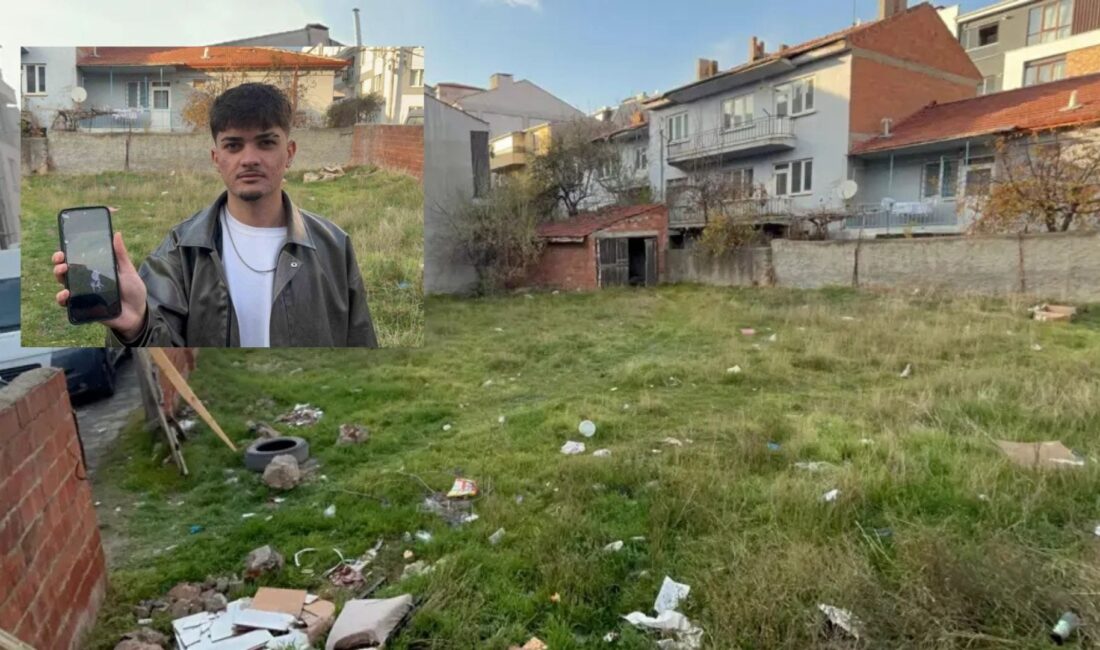 Eskişehir'de genç bir vatandaş, boş bir arsada toplam 8 kedinin