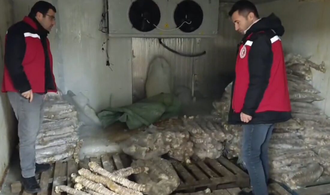 Tarım ve Orman Bakanlığı, Manisa’da gerçekleştirdiği gıda denetimlerinde büyük bir