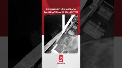 Kanal 3Per, Aralık 4, 2025 12:28pmURL:Embed:Trabzon’un Of ilçesinde bir ayı,