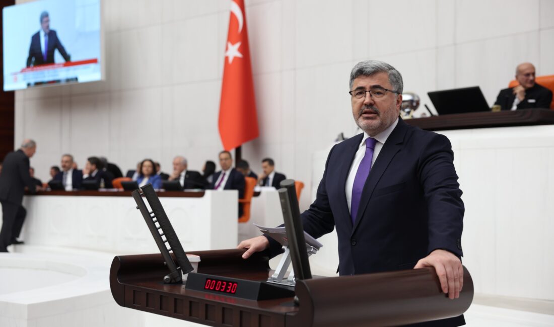 AK Parti Afyonkarahisar Milletvekili Ali Özkaya, Türkiye Büyük Millet Meclisi’ndeki