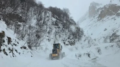 Artvin’in Ardanuç ilçesine bağlı Zekeriya köyü Aksu Yaylası mevkiinde, bugün