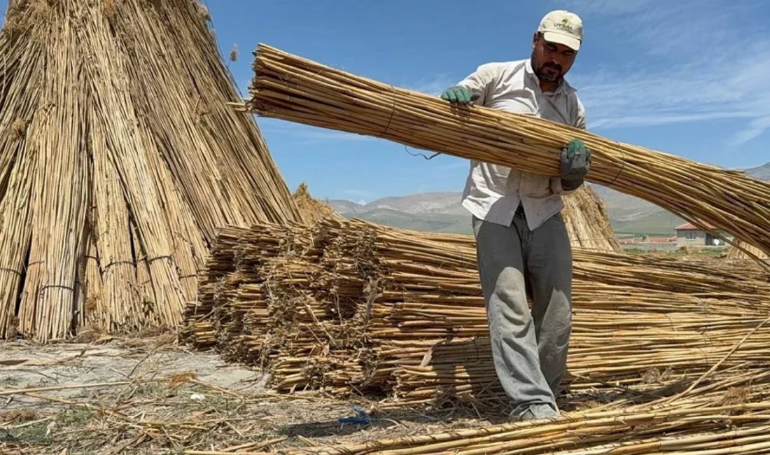 Afyonkarahisar’ın Bolvadin ilçesi sınırlarında yer alan ve Türkiye’nin en önemli