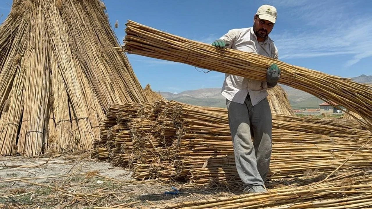 Afyonkarahisar’ın Bolvadin ilçesi sınırlarında yer alan ve Türkiye’nin en önemli