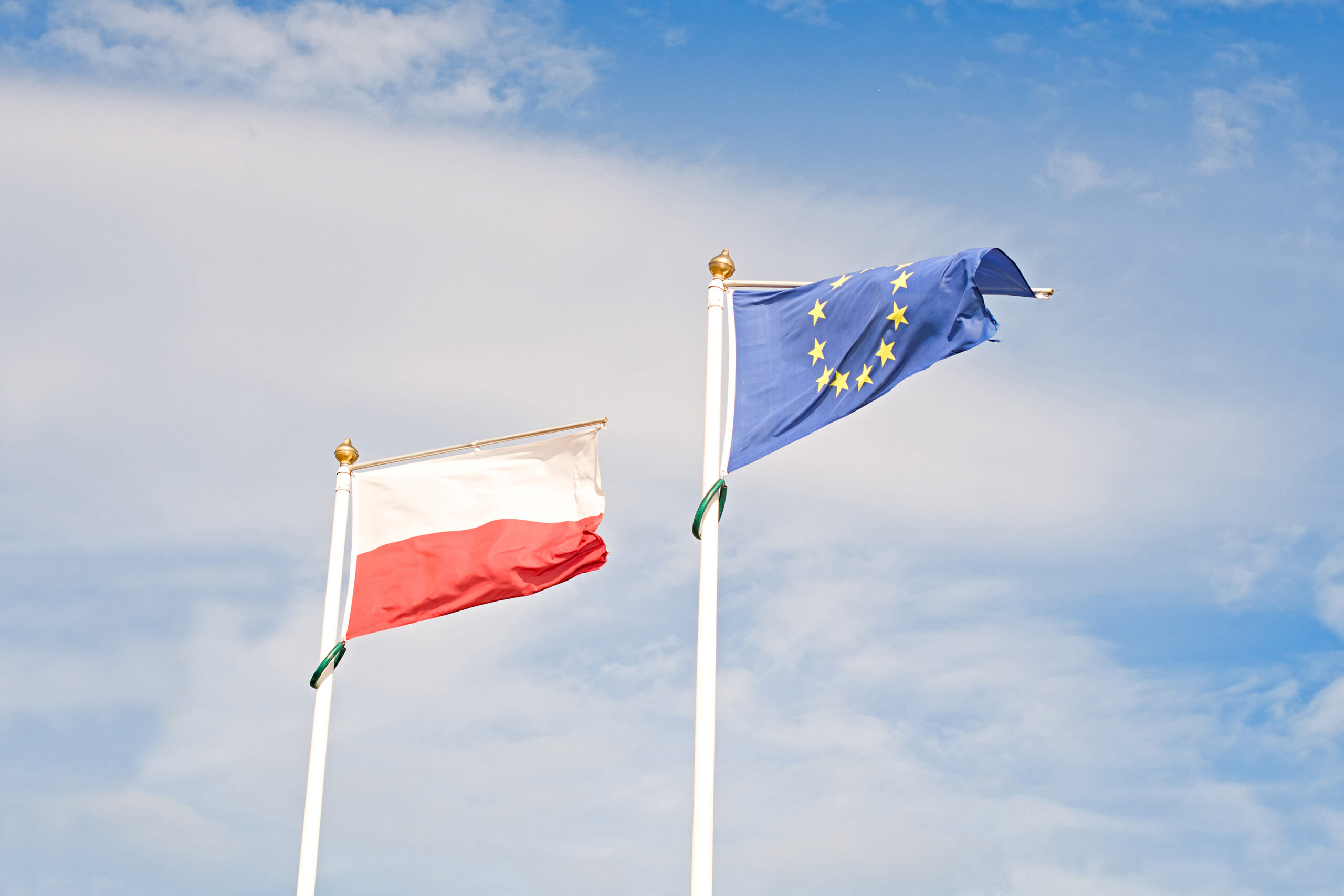 Polonya Meclisi Adalet ve İnsan Hakları Komisyonu Başkanı Pawel Sliz