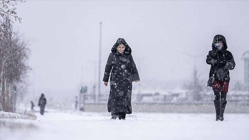 Erzurum, Kars, Ardahan ve Muş'ta kar yağışı devam ediyor