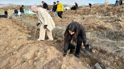 Afyonkarahisar Barosu, çevre bilincini artırmak ve doğaya katkı sağlamak amacıyla