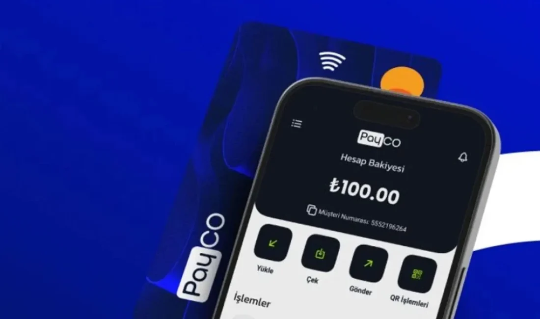 İstanbul Cumhuriyet Başsavcılığı Aklama Suçları Bürosu tarafından yürütülen Payco Elektronik