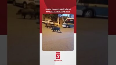 Kanal 3Cum, Aralık 19, 2025 2:24pmURL:Embed:İzmir’in Balçova, Narlıdere ve Bornova