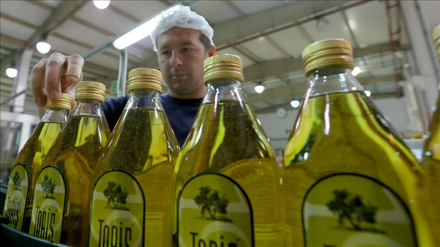 Tariş Zeytin ve Zeytinyağı Birliği, 2025-2026 sezonu için zeytinyağı alım