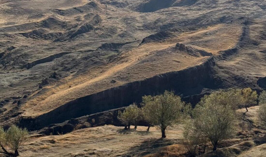 Ağrı İbrahim Çeçen Üniversitesi’nden Prof. Dr. Faruk Kaya, Doğubayazıt’ta Nuh’un