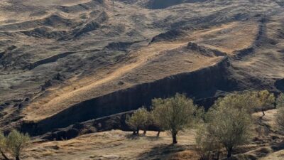 Ağrı İbrahim Çeçen Üniversitesi’nden Prof. Dr. Faruk Kaya, Doğubayazıt’ta Nuh’un