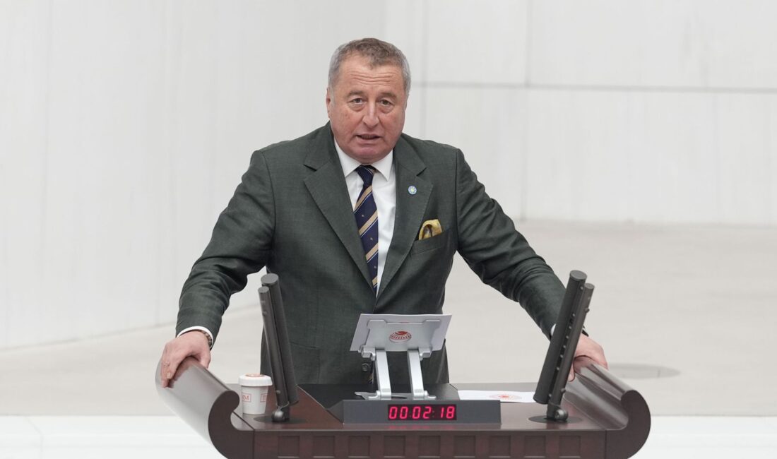 İYİ Parti Genel Başkan Yardımcısı ve Afyonkarahisar Milletvekili Hakan Şeref