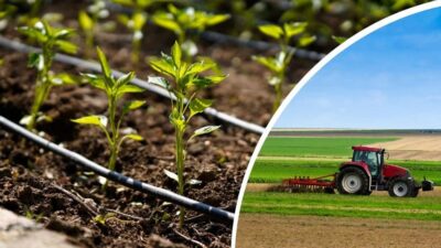 Afyonkarahisar’da özellikle çiftçileri yakından ilgilendiren erken uyarı ve tahmin sistemi