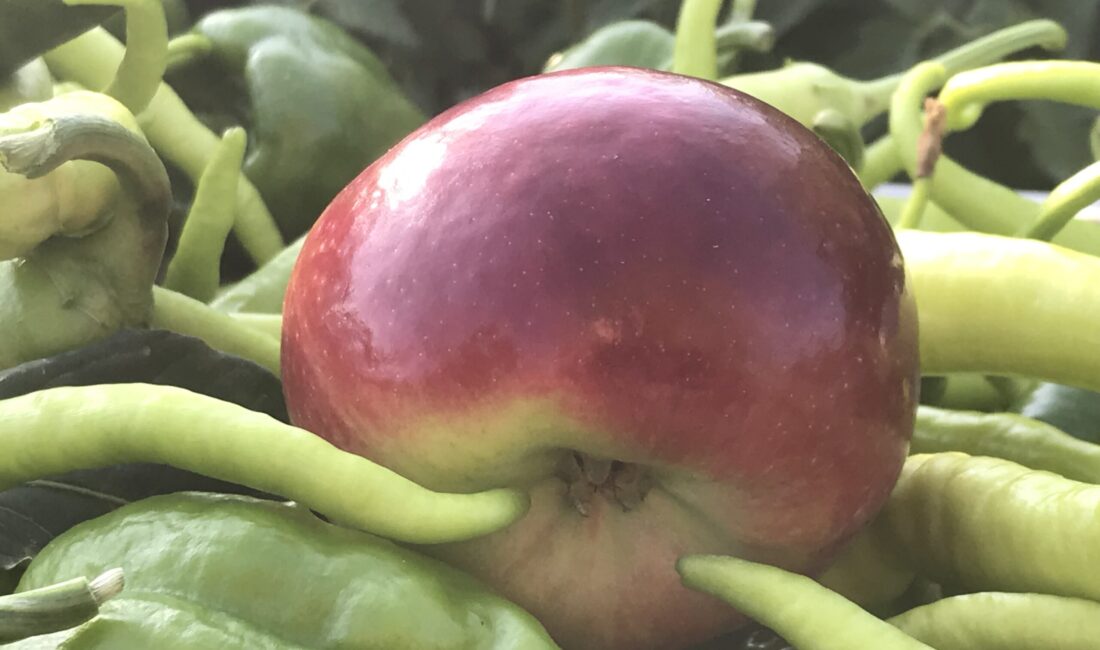 Kış kapıya dayandı, hastaneler dolup taşmaya başladı. Uzmanlar, gripten korunmanın