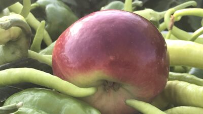 Kış kapıya dayandı, hastaneler dolup taşmaya başladı. Uzmanlar, gripten korunmanın