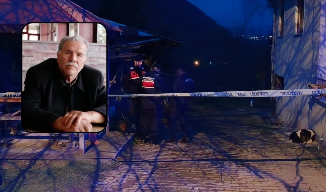 Ordu’nun Ulubey ilçesine bağlı Kumrulu Mahallesi’nde öğleden sonra saat 15.30