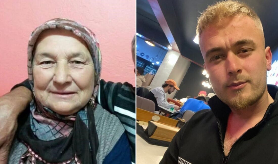 Zonguldak'ta iki kardeş ve babaannelerinin can verdiği korkunç cinayetin davasında