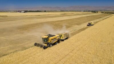 Avrupa Birliği Katılım Öncesi Kırsal Kalkınma Programı (IPARD-III) kapsamında sağlanan