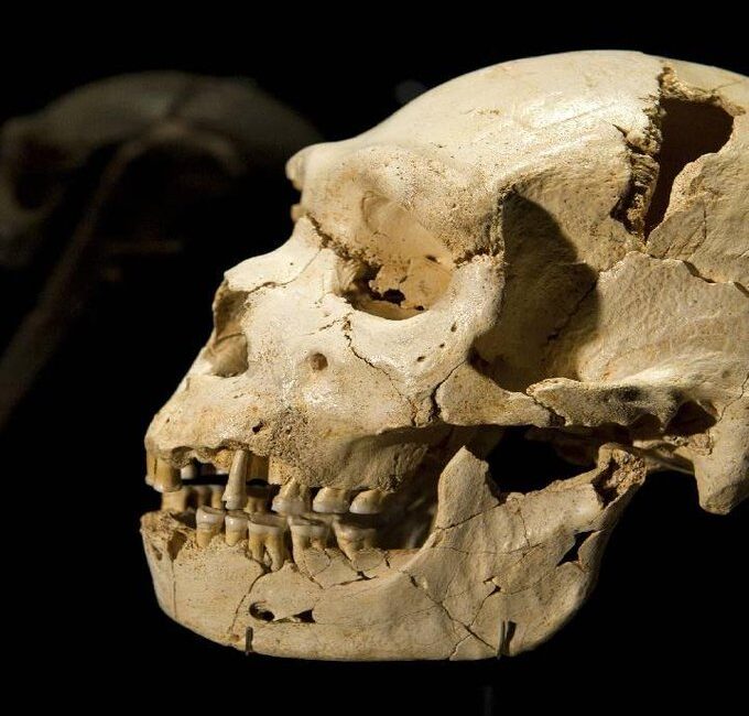 ABD’nin Pennsylvania eyaletinde, filmleri aratmayan dehşet verici bir olay yaşandı.