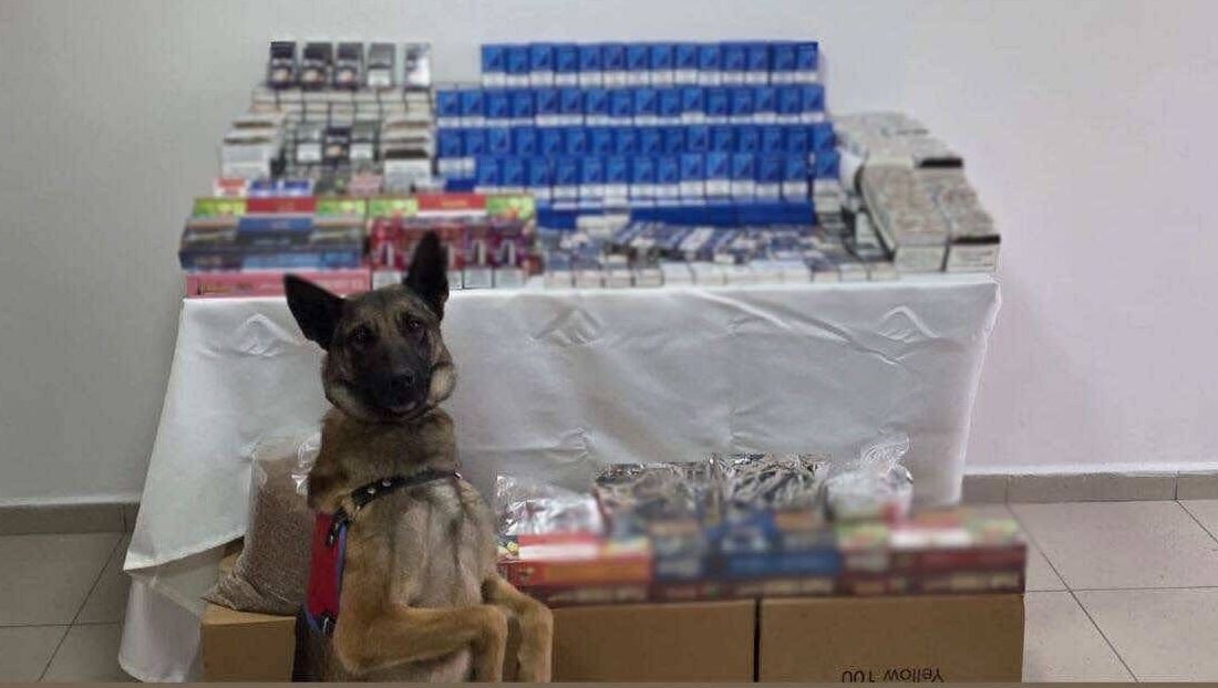 Afyonkarahisar İl Jandarma Komutanlığı ekipleri, kaçakçılıkla mücadele kapsamında il merkezinde