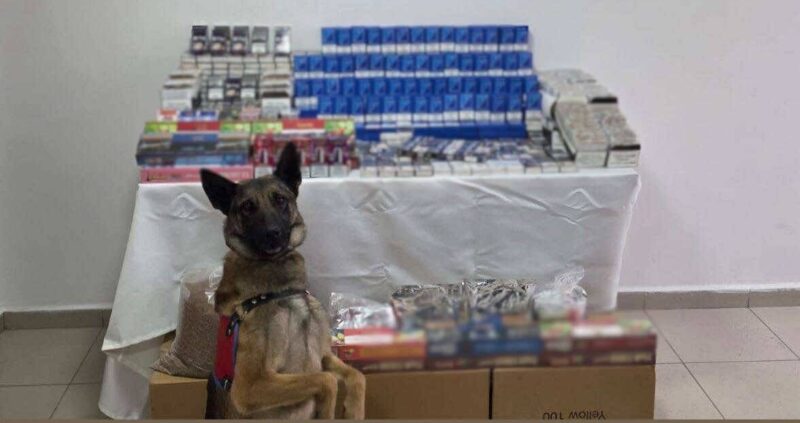 Afyonkarahisar İl Jandarma Komutanlığı ekipleri, kaçakçılıkla mücadele kapsamında il merkezinde