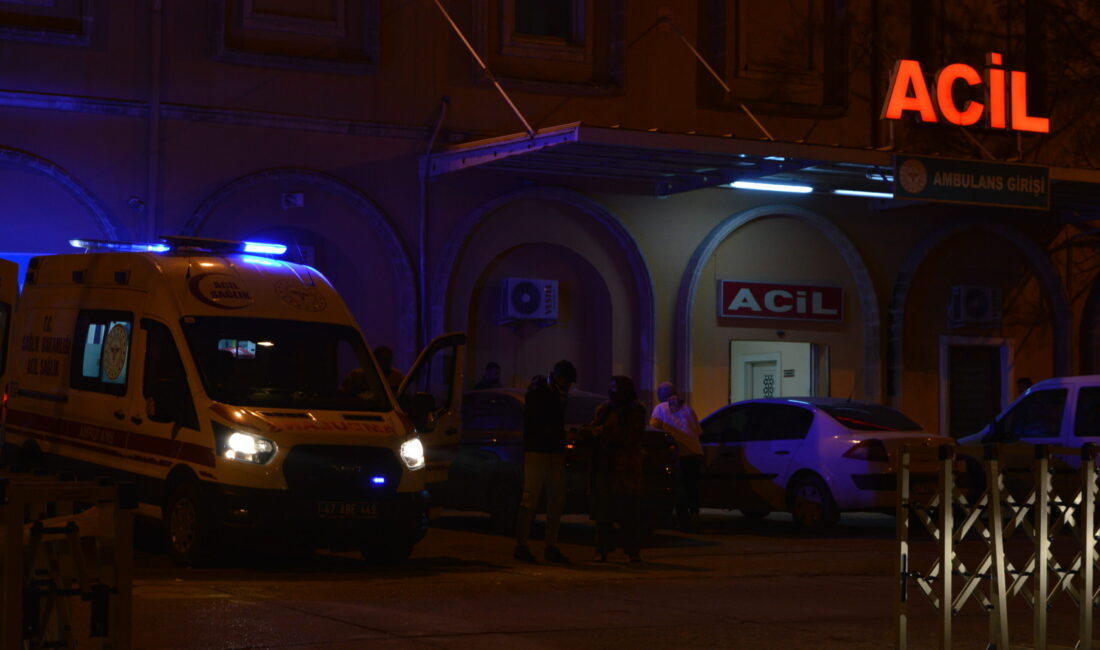 Korkunç olay Mardin’de yaşandı. 8 Mart Mahallesi’nden yapılan bir ihbarla