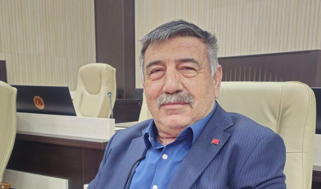 Afyonkarahisar İl Genel Meclisi’nin MHP’li Kızılören üyesi Hasan Ulusoy, İGM’nin