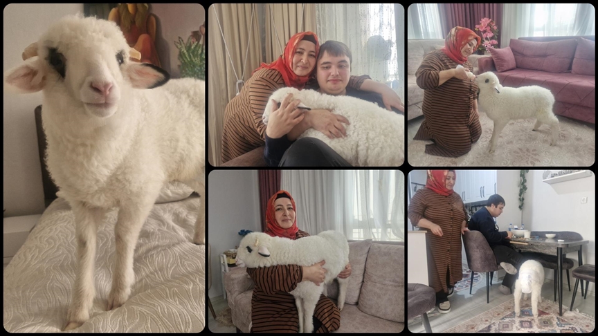 Tokat'ın Erbaa ilçesinde yaşayan Şulen ailesi otizmli oğullarının isteği üzerine