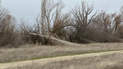 
Afyonkarahisar genelinde etkili olan şiddetli rüzgâr hayatı olumsuz etkiledi. Kentin