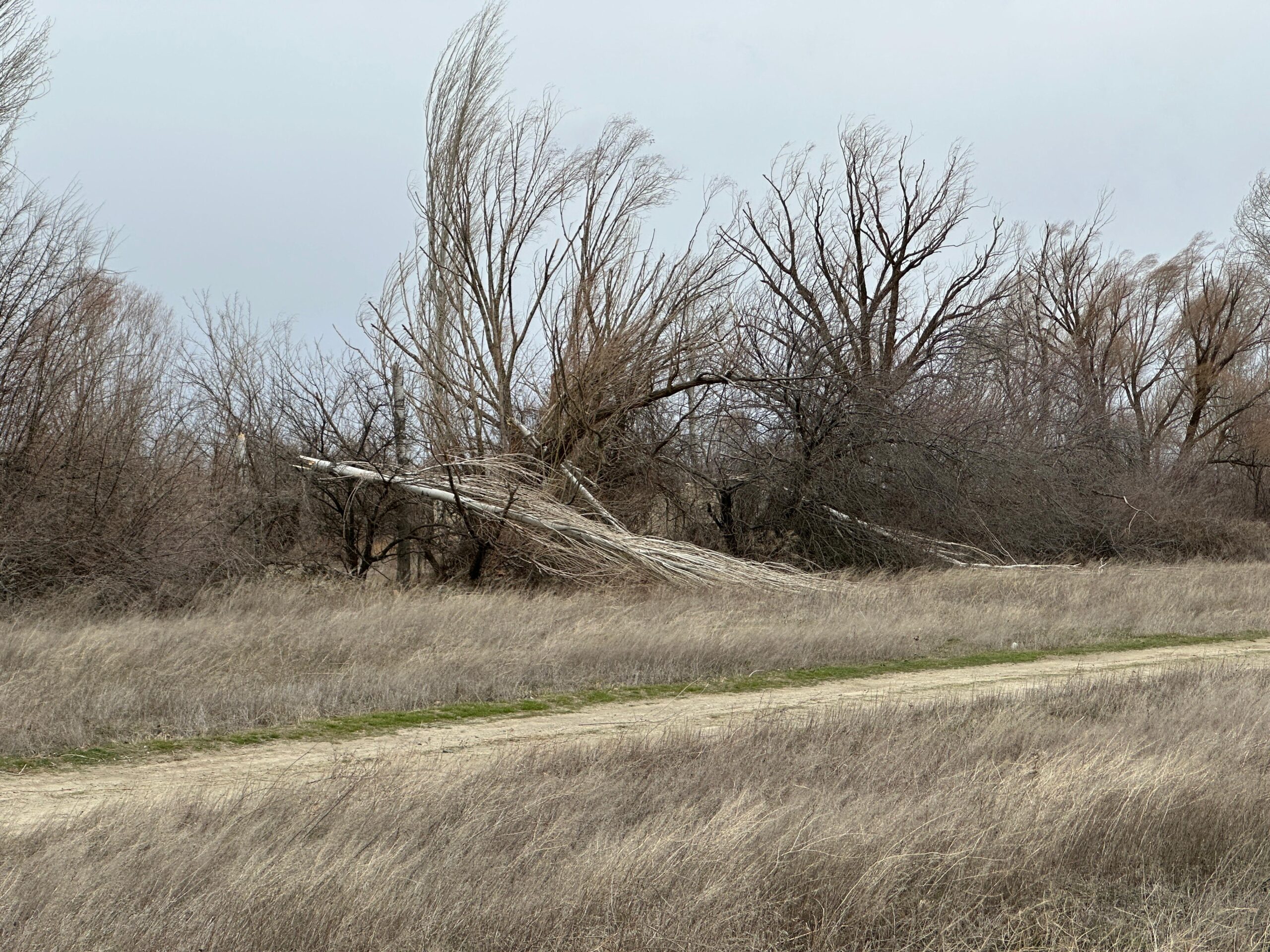 
Afyonkarahisar genelinde etkili olan şiddetli rüzgâr hayatı olumsuz etkiledi. Kentin