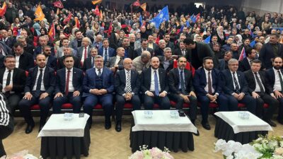 AK Parti Afyonkarahisar İl Danışma Meclisi Toplantısı, Genel Başkan Yardımcısı