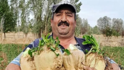 Sinanpaşa ilçesinde çıkan tartışmada yeğeninin eski eşi tarafından tabancayla vurulan