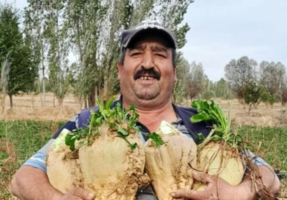 Sinanpaşa ilçesinde çıkan tartışmada yeğeninin eski eşi tarafından tabancayla vurulan
