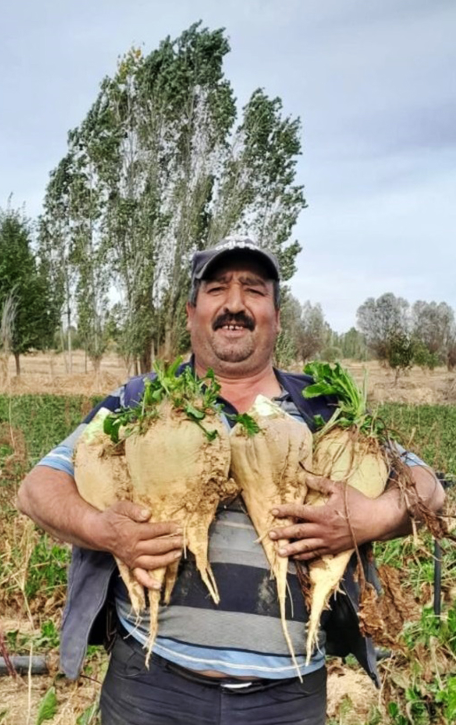 Sinanpaşa ilçesinde çıkan tartışmada yeğeninin eski eşi tarafından tabancayla vurulan