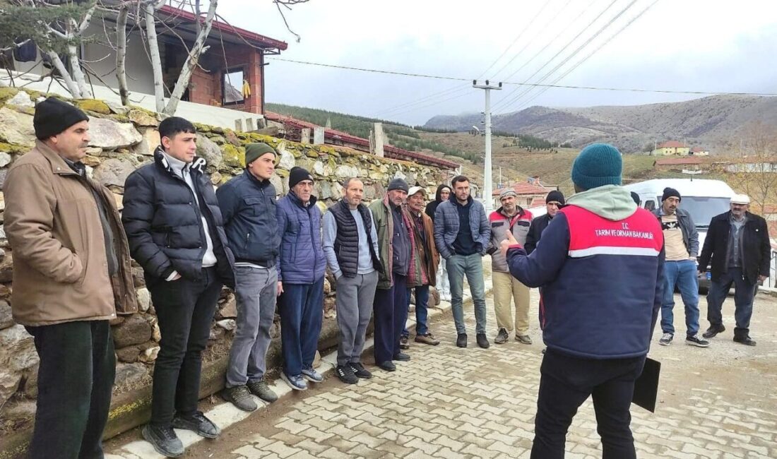 Afyonkarahisar Tarım ve Orman İl Müdürlüğünden yapılan açıklamada, 2025 yılında