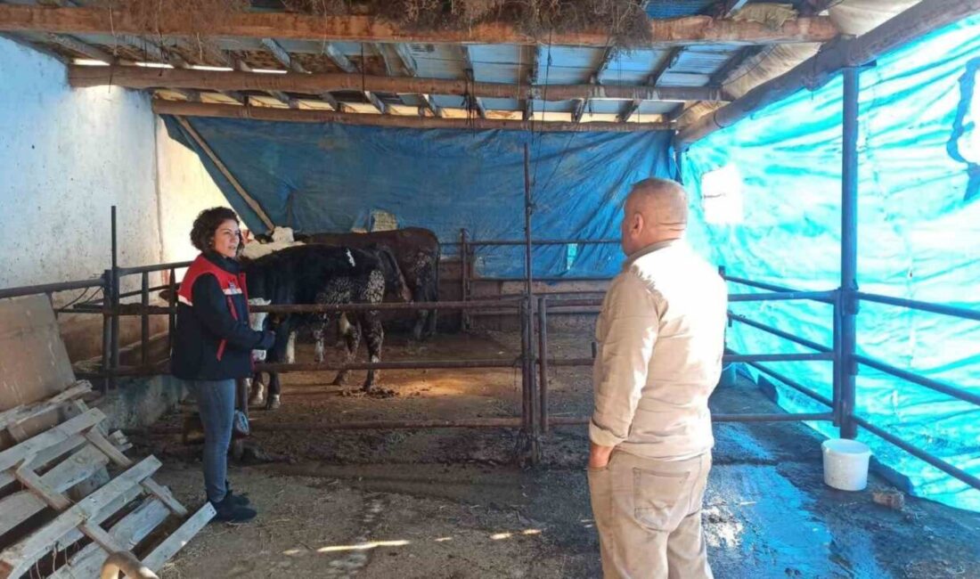 Afyonkarahisar’da besicilik yapan işletmelere yönelik Çiftlik Muhasebe Veri Ağı (ÇMVA)