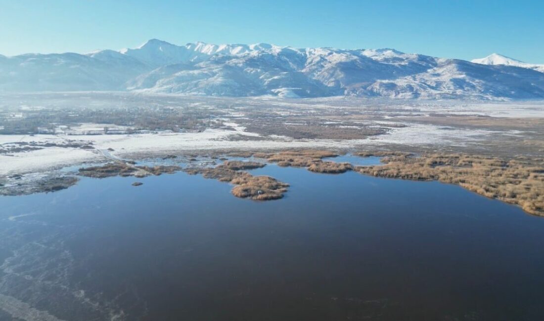 Giriş: 05-01-2026 10:06 Kaynak: İHA Eber Gölü’nün Afyonkarahisar sınırlarında kalan