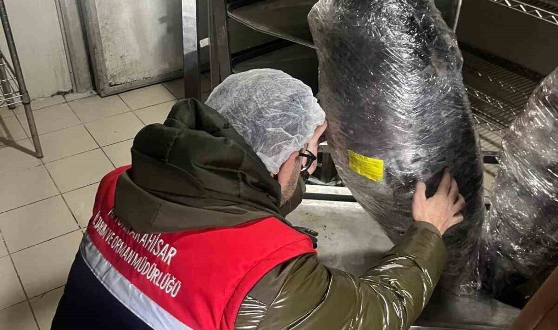 Afyonkarahisar’da gıda üretimi ve satışı yapan 10’a yakın işletmede denetim