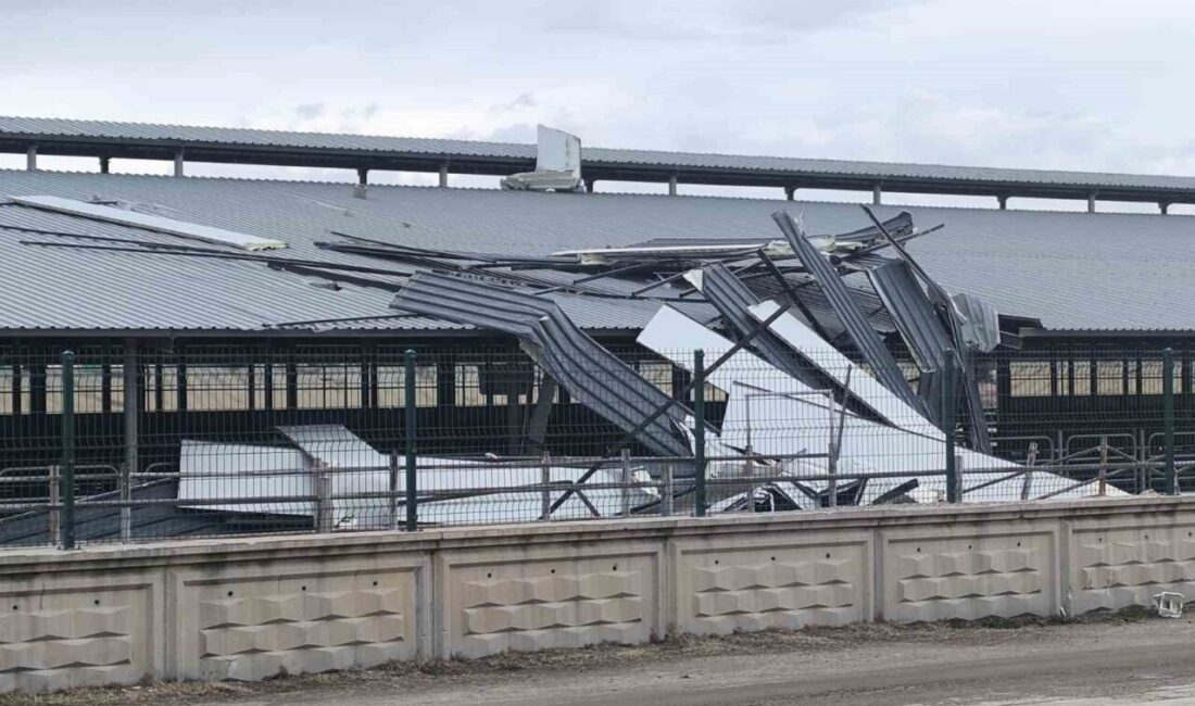 Afyonkarahisar’da meteorolojinin yaptığı fırtına uyarısının ardından etkili olan kuvvetli rüzgâr