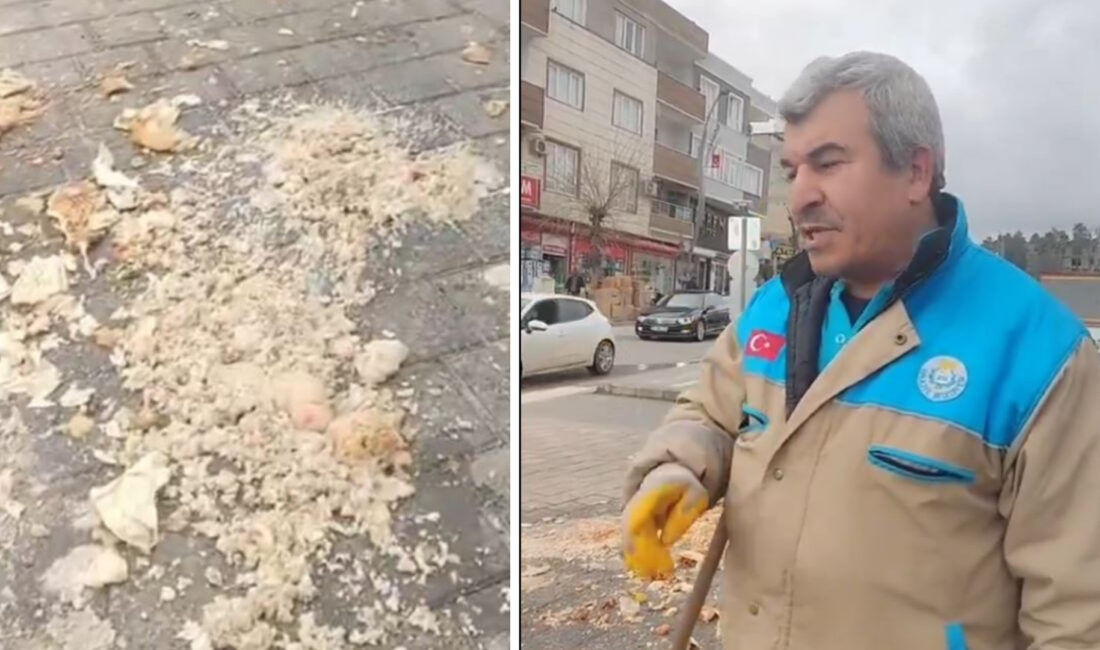Şanlıurfa’da görev yapan temizlik personeli Murat Altun, sokak hayvanlarını beslemek