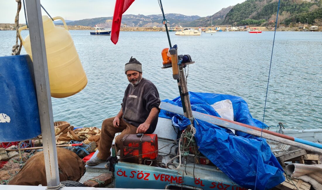 Zonguldak'ın Alaplı ilçesinde yaklaşık 6 yıl boyunca 2 metrekarelik bir