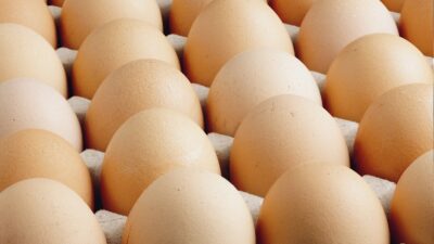 TÜİK tarafından açıklanan son verilere göre Türkiye'nin yumurta üretimi geçtiğimiz